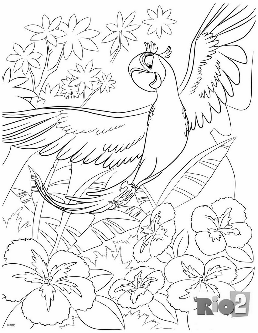 coloriage rio 2 perle